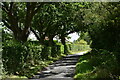 Green lane at Bird Hill. Clopton