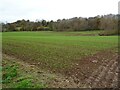 Farmland beside Leigh Brook