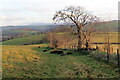 Hen heol i Lansawel / Old road to Llansawel