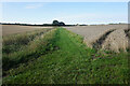 Path leading to Irby-upon-Humber