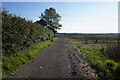 Bridleway towards Scrub Holt Farm