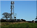 Phone mast at Bunker Hill