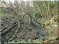 Site of Gill Mill weir