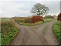 Track junction east of Burton Leonard