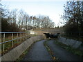 Footpath to Winthorpe