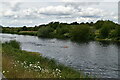 Openwater Swimmers, Jubilee River