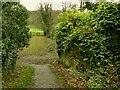 Old bridge abutments