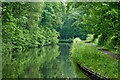 Canal south-east of Wolverley in Worcestershire