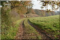 Bridleway to Pittleworth