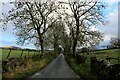 Brackenley Lane heading towards Embsay