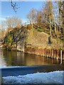 Railway bridge and weir