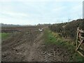 Bridleway heading west from Longlands Lane