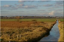 TM4555 : Drain across Aldeburgh Marshes by Christopher Hilton