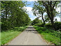 Cow Lane towards Minting