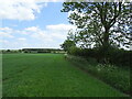 Crop field and hedgerow near Meadow View Farm