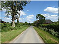 Lane into Great Sturton