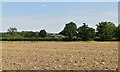 Farmland and barn