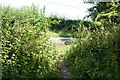 Footpath meets Gibbs Brook Lane