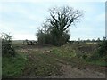 SE3648 : Entrance to two fields, off Longlands Lane by Christine Johnstone