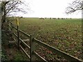 Stile on the footpath towards Windmill Barn