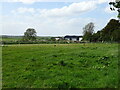 Grazing, Market Stainton Grange