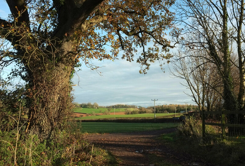 permissive-path-true-street-derek-harper-geograph-britain-and-ireland