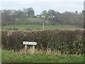 Morcar Hill Farm, from the south-west