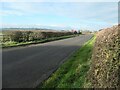 Cyclists heading west on Spring Lane