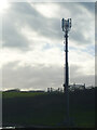ST5374 : A mast near Pill Road by Neil Owen