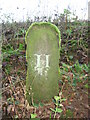 Old Boundary Marker in East Plantation