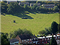 A field between Avon Road and Newtown road, Worcester