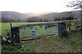 G?t yn rhoi mynediad i gae / Gate giving access to a field