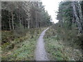 Path to Newlands of Culloden