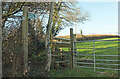 Footpath, Barkingdon