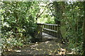 Footbridge over the River Eden