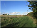 Footpath to Pointon at Millthorpe