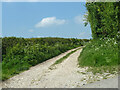 Start of restricted byway near Old Warren