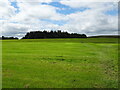 SE1195 : Grassland towards Reservoir Plantation by JThomas