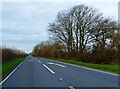 The A356 to Crewkerne