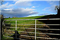 Muddy entrance to field, Lissan