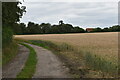 Track towards Manor Farm, Bredfield