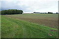 Field below Notley Farm