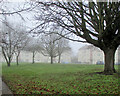 Davy Road on a foggy afternoon