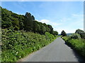 Wood Lane near Spennithorne Wood