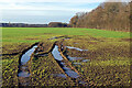 Farmland off Lutterworth Road, near Cross in Hand