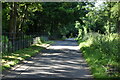 Lane heading south from Tattingstone