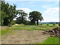 Cereal crop, Low Hutton