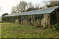 Bat roost, Hoyle Copse