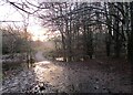 Footpath at South Haugh