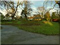 Pudsey Park: rose garden in winter